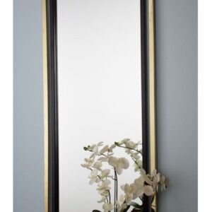 Mirror(CDZ-DM-001)